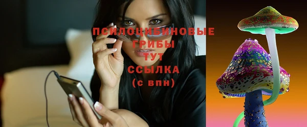ECSTASY Абдулино