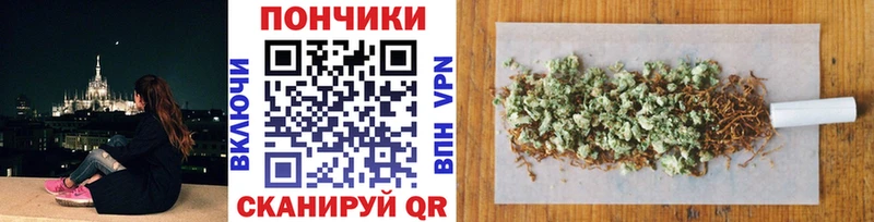 Бошки Шишки семена  omg как зайти  Терек  купить наркотики цена 